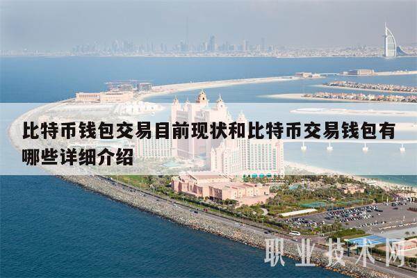 比特币钱包交易目前现状和比特币交易钱包有哪些详细介绍-第1张图片-欧意易易下载