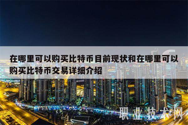 在哪里可以购买比特币目前现状和在哪里可以购买比特币交易详细介绍-第1张图片-欧意易易下载