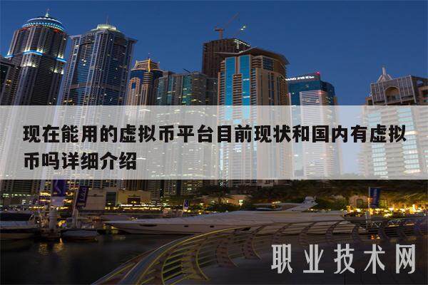 现在能用的虚拟币平台目前现状和国内有虚拟币吗详细介绍-第1张图片-欧意易易下载