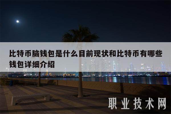 比特币脑钱包是什么目前现状和比特币有哪些钱包详细介绍-第1张图片-欧意易易下载