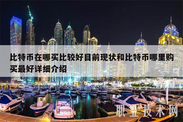比特币在哪买比较好目前现状和比特币哪里购买最好详细介绍-第1张图片-欧意易易下载