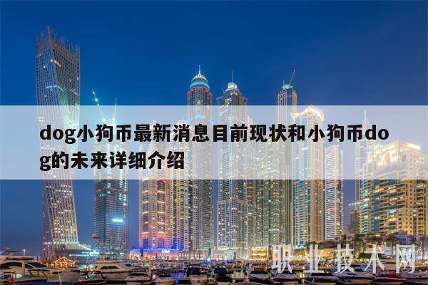 dog小狗币最新消息目前现状和小狗币dog的未来详细介绍-第1张图片-欧意易易下载