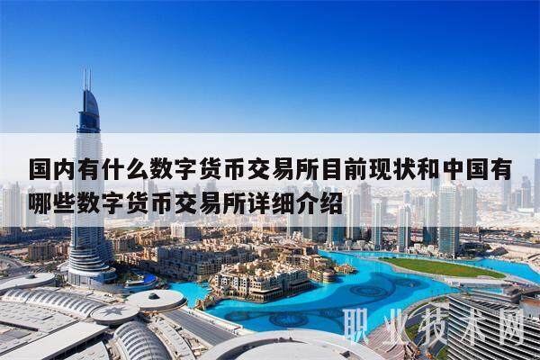 国内有什么数字货币交易所目前现状和中国有哪些数字货币交易所详细介绍-第1张图片-欧意易易下载