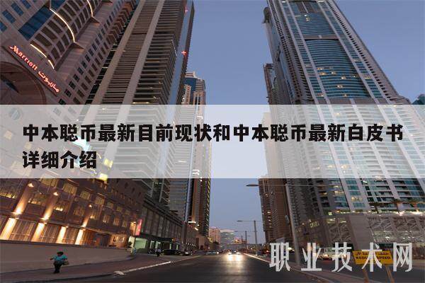 中本聪币最新目前现状和中本聪币最新白皮书详细介绍-第1张图片-欧意易易下载
