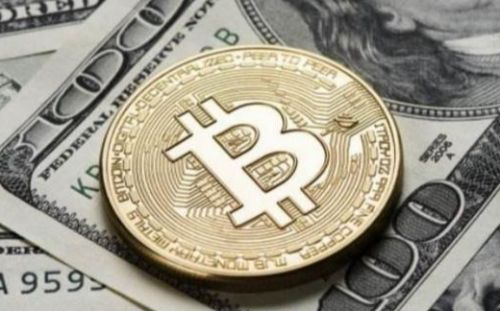 派币价格最新消息(派币今日价格行情走势)