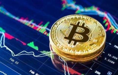 DOT币知名度高钱包大全:DOT币钱包最多福利用户量排名