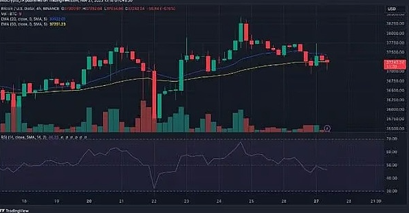 80%的BTC钱包都赚了，比特币真的进入新牛市了？-第6张图片-欧意易易下载