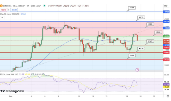 随着BTC上涨5.30%至43000美元　能否持续这种增长？-第2张图片-欧意易易下载