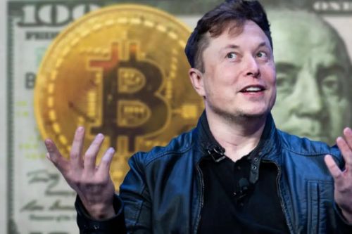 埃隆·马斯克在比特币现货TF批准后谈论比特币