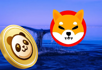 PAMBO成为SHIB成功的竞争者-第1张图片-欧意易易下载 PAMBO成为SHIB成功的竞争者-第1张图片-欧意易易下载