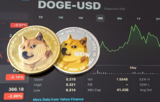 错过了2021年的狗狗币激增-第1张图片-欧意易易下载