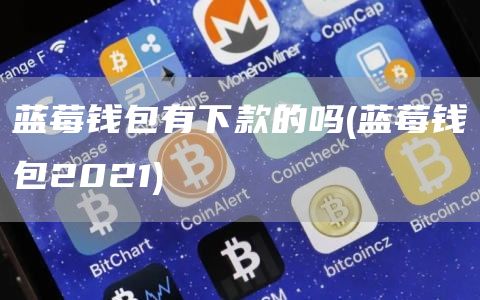 蓝莓钱包有下款的吗 - 蓝莓钱包2021