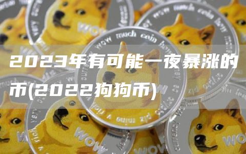 2023年有可能一夜暴涨的币 - 2022狗狗币