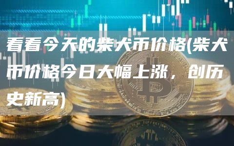 看看今天的柴犬币价格 - 柴犬币价格今日大幅上涨，创历史新高