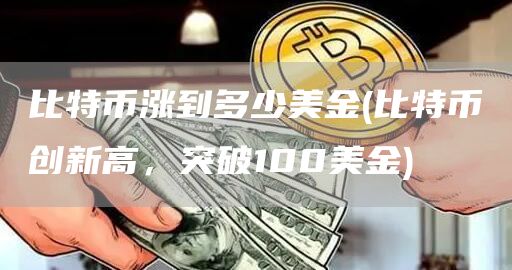 比特币涨到多少美金 - 比特币创新高，突破100美金