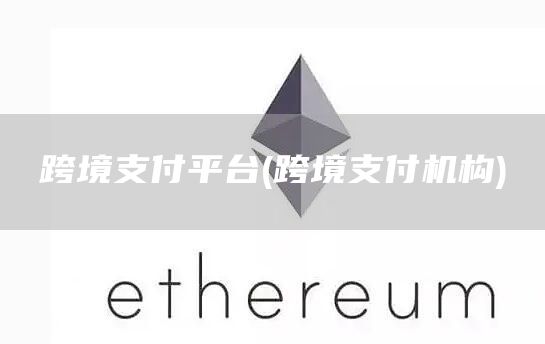 跨境支付平台 - 跨境支付机构