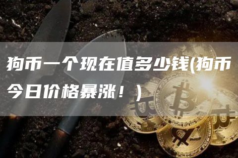 狗币一个现在值多少钱 - 狗币今日价格暴涨！