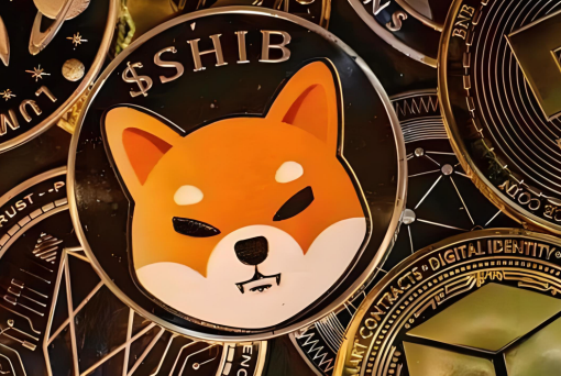 哪个交易所比较适合新手-第1张图片-欧意易易下载 哪个交易所比较适合新手-第1张图片-欧意易易下载