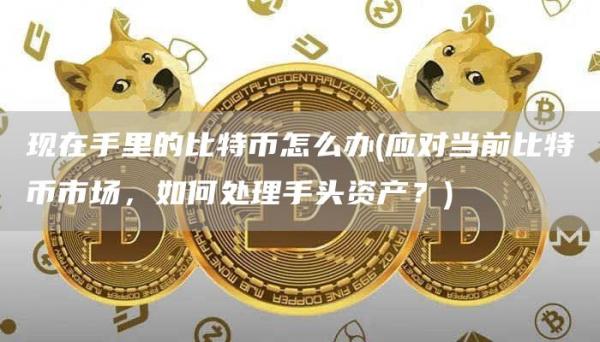 现在手里的比特币怎么办 - 应对当前比特币市场，如何处理手头资产？