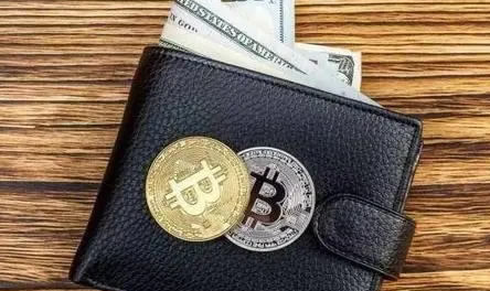 钱包和交易所有什么区别-第1张图片-欧意易易下载 钱包和交易所有什么区别-第1张图片-欧意易易下载