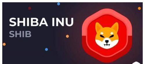 SHIB币有没有可能涨到1美元-第1张图片-欧意易易下载