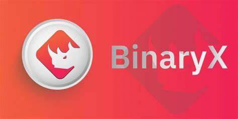 什么是BinaryX币-第1张图片-欧意易易下载