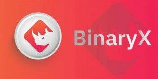 什么是BinaryX币