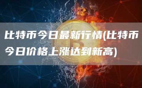 比特币今日最新行情 - 比特币今日价格上涨达到新高