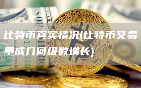 比特币真实情况 - 比特币交易量成几何级数增长