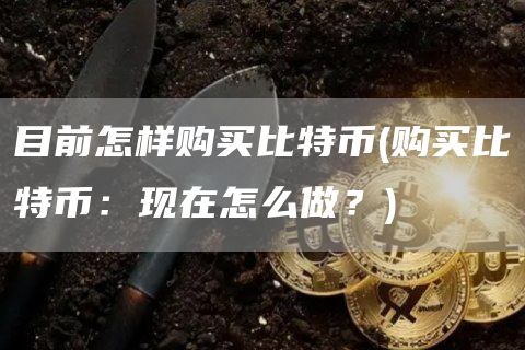 目前怎样购买比特币 - 购买比特币：现在怎么做？