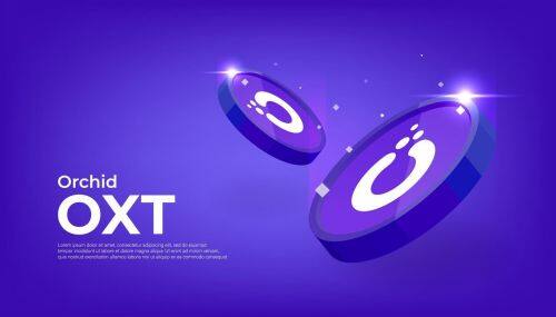 什么是Orchid(OXT)币-第1张图片-欧意易易下载 什么是Orchid(OXT)币-第1张图片-欧意易易下载