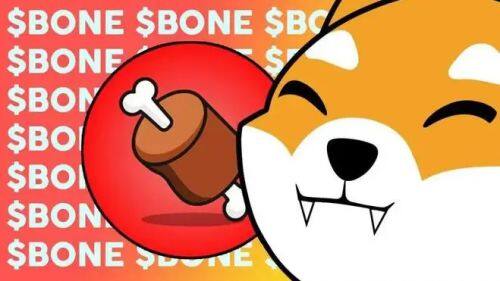 什么是Bone ShibaSwap(BONE)币-第1张图片-欧意易易下载