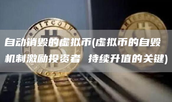 自动销毁的虚拟币 - 虚拟币的自毁机制激励投资者 持续升值的关键