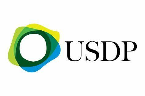 Pax Dollar(USDP)币种介绍-第1张图片-欧意易易下载
