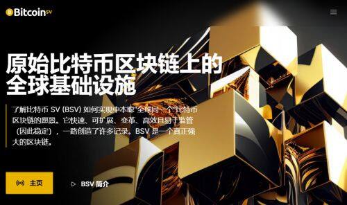 BSV币是什么币种-第1张图片-欧意易易下载