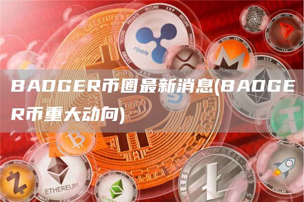 BADGR币圈最新消息 - BADGR币重大动向
