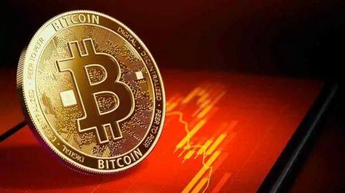 未来CCOIN币的发展前景如何？-第1张图片-欧意易易下载