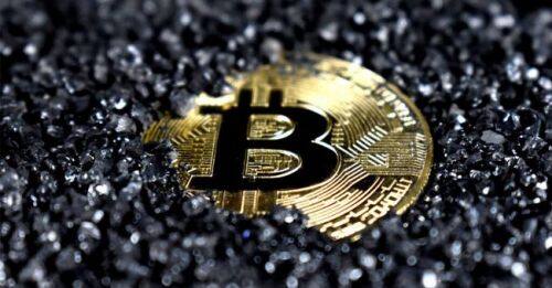pig币猪币最新消息-第1张图片-欧意易易下载
