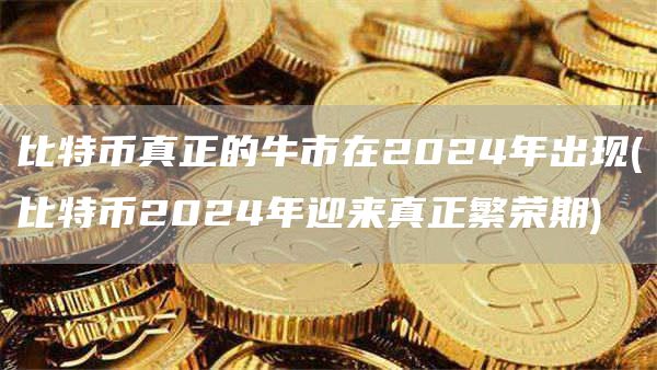 比特币真正的牛市在2024年出现 - 比特币2024年迎来真正繁荣期
