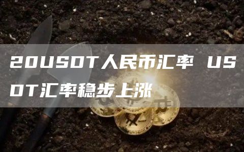 20USDT人民币汇率 USDT汇率稳步上涨
