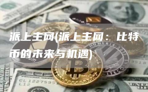 派上主网 - 派上主网：比特币的未来与机遇