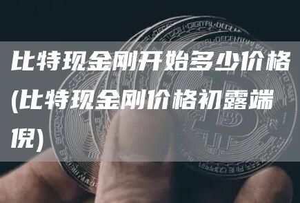 比特现金刚开始多少价格 - 比特现金刚价格初露端倪