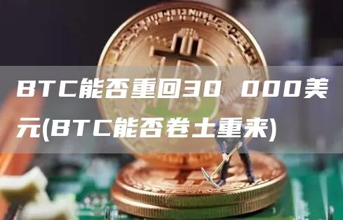 BTC能否重回30 000美元 - BTC能否卷土重来