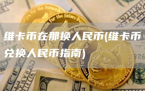 维卡币在那换人民币 - 维卡币兑换人民币指南