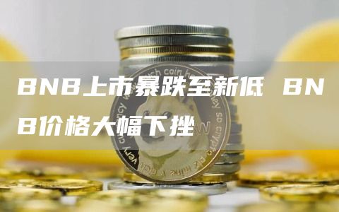 BNB上市暴跌至新低 BNB价格大幅下挫