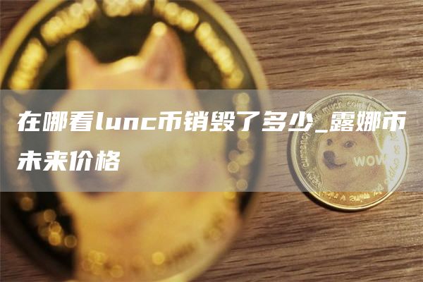 在哪看lunc币销毁了多少_露娜币未来价格
