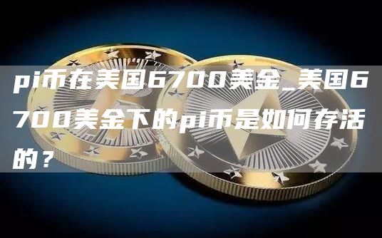 pi币在美国6700美金_美国6700美金下的pi币是如何存活的？