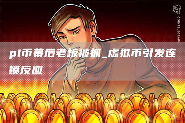 pi币幕后老板被抓_虚拟币引发连锁反应