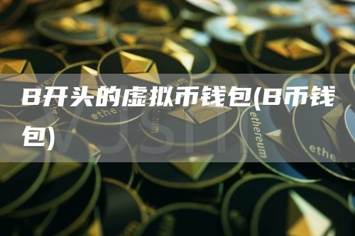 B开头的虚拟币钱包 - B币钱包
