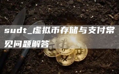 sudt_虚拟币存储与支付常见问题解答
